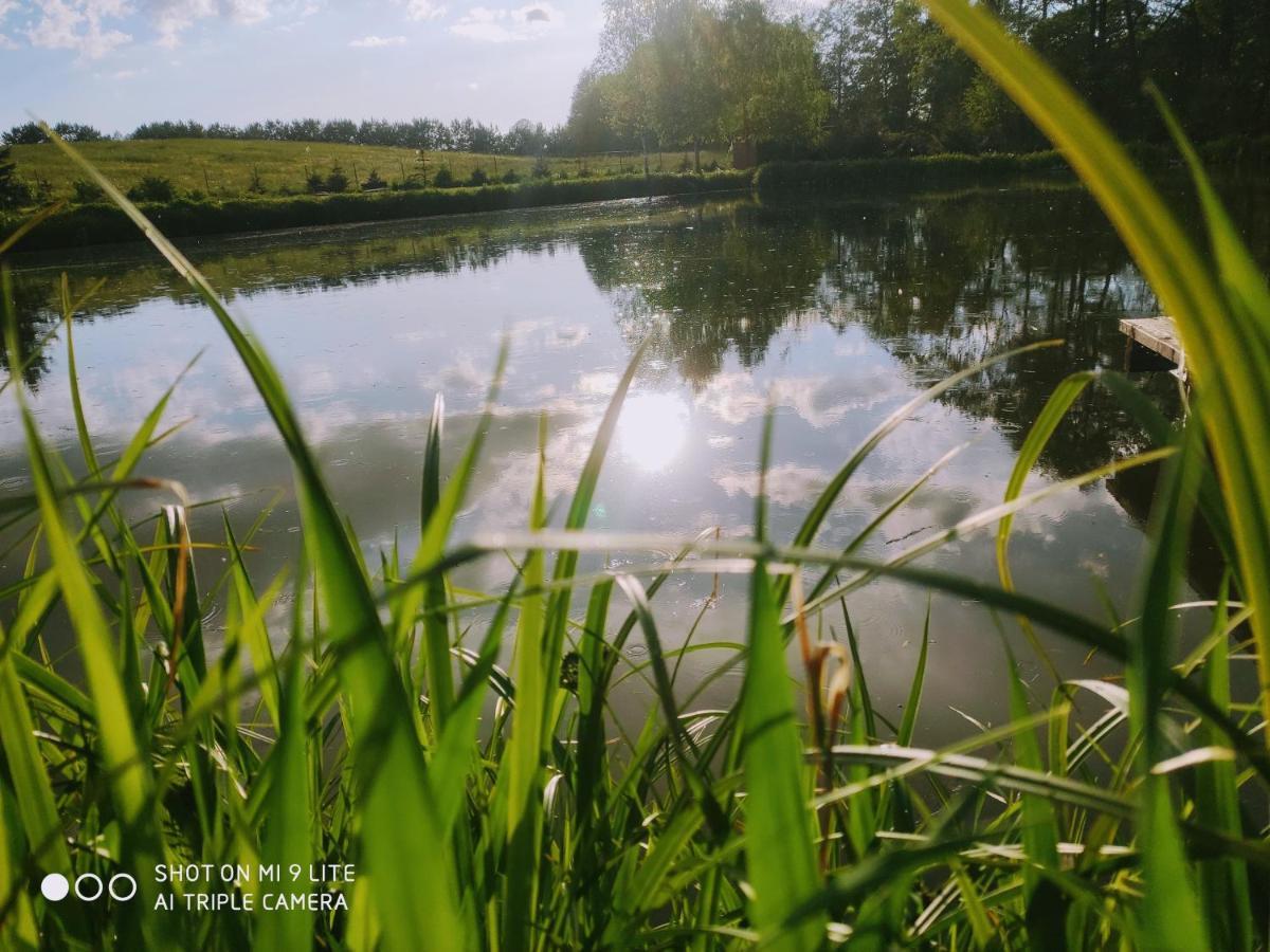 Wczasy Mazurskie - Domek Caloroczny Bez Mazury Moldzie Eksteriør billede